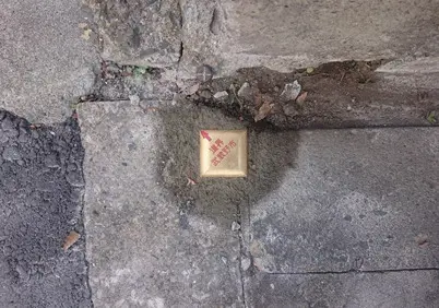 境界線の意味 本当に知っていますか 境界の専門家が徹底解説